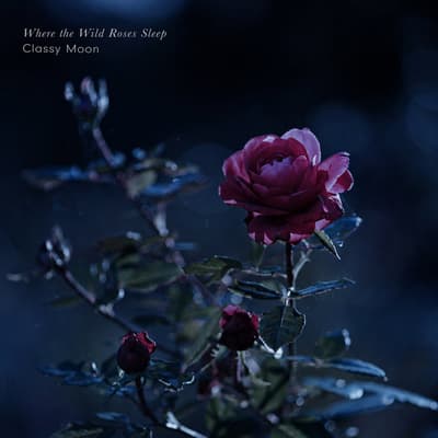 Classy Moon의 새로운 힐링 피아노 앨범 'Where the Wild Roses Sleep', 8월 21일부터 스트리밍 개시