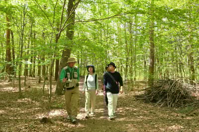 一日体验自然、美食与工艺：国家阿尔卑斯安昙野公园[大町松川地区]公园支持者体验活动