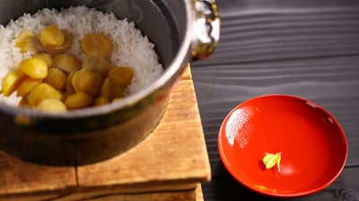 Tsubaki in Okuyugawara Onsen Launches "Chrysanthemum Festival" Autumn Gourmet Plan