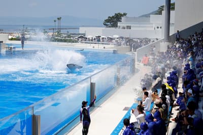 KOBE SUMA SEA WORLD Extends Popular Orca "Tail Burst" Splash Show Through September 30, 2026