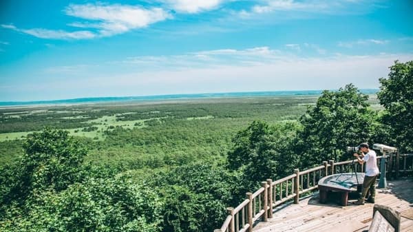 Kushiro Marsh