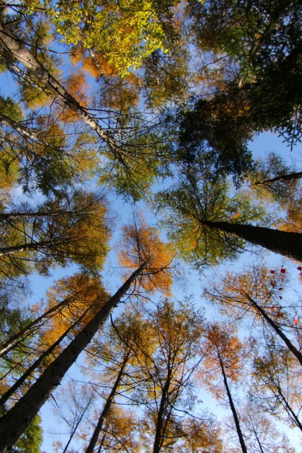 Photo trekking scenery (image)