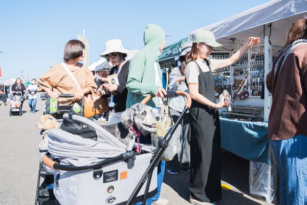 Vendor image