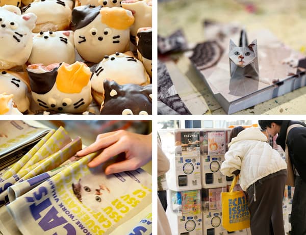 Scenes from THE CAT’S ISSUE FES