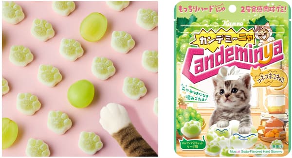 CandemiNYA Gummy Candy Konekone Koneko