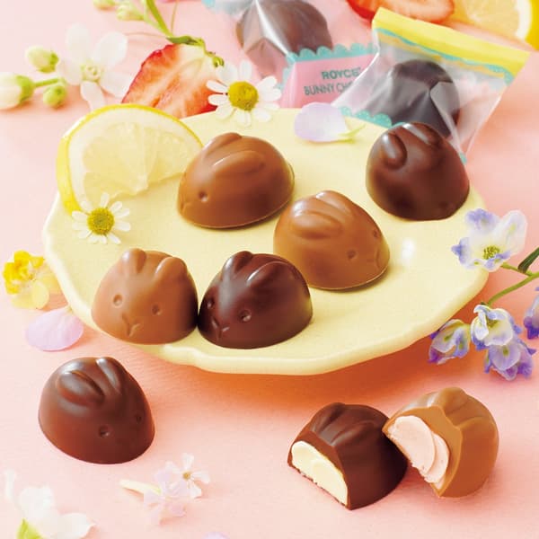 Bunny Chocola Product Display