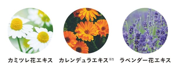 有機植物成分
