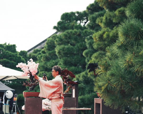 전시 중인 RE BONSAI 작품들