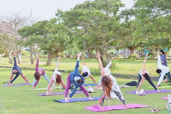 Yoga en el bosque