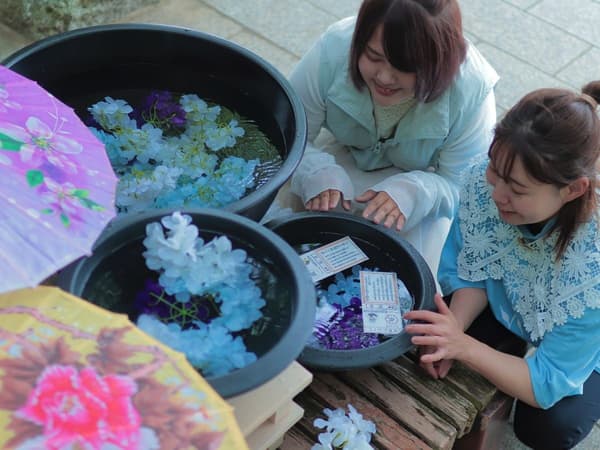 Water omikuji setup with Japanese umbrellas and hydrangeas