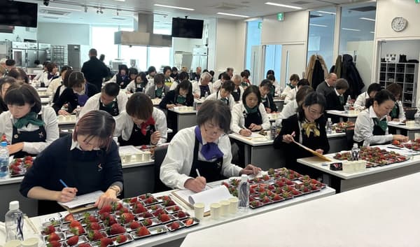 第三届全国草莓锦标赛（大阪会场）