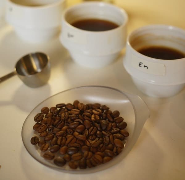 亲手体验咖啡混合