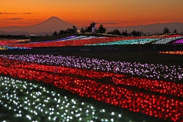 Mother Farm Illumination, view 1