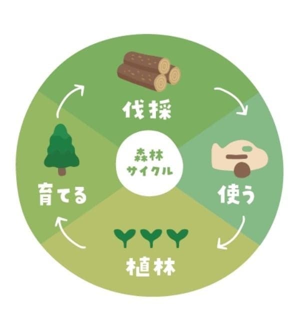 Image of the forest cycle