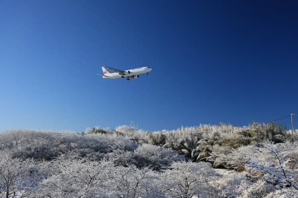 Narita winter scenery