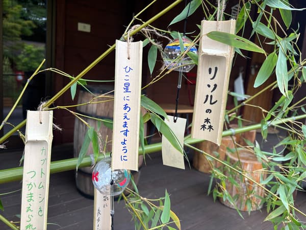 RESOL no MORI Tanabata Festival