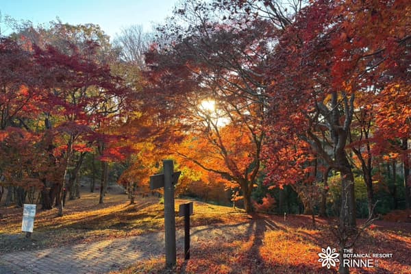 Hojas de otoño en Rinne