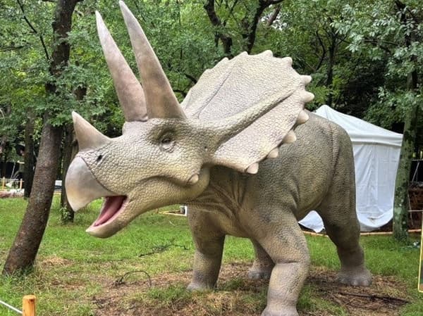 ABURAYAMA FUKUOKA的恐龙探险之旅