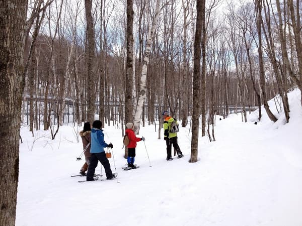 雪鞋荒野之旅