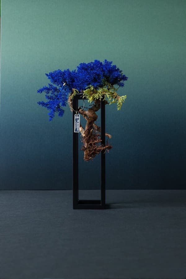Karya dudukan RE BONSAI dengan dedaunan biru