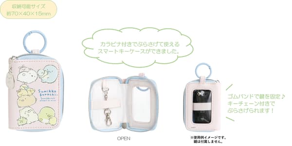 스마트 키 케이스