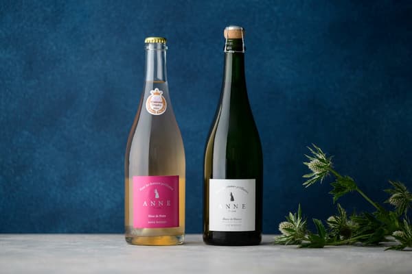 NAGANO WINE Discovery