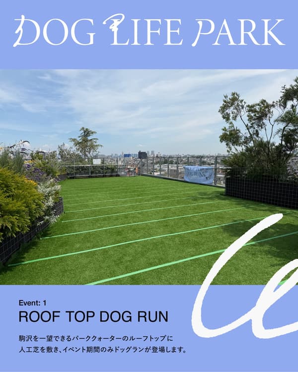 TAVO presenta ROOFTOP DOGRUN