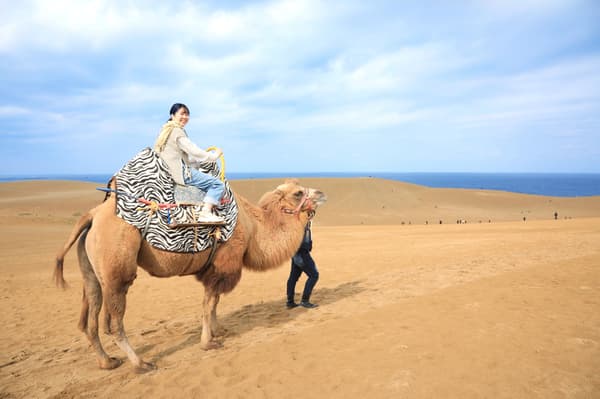 Paseo en camello en las dunas de Tottori