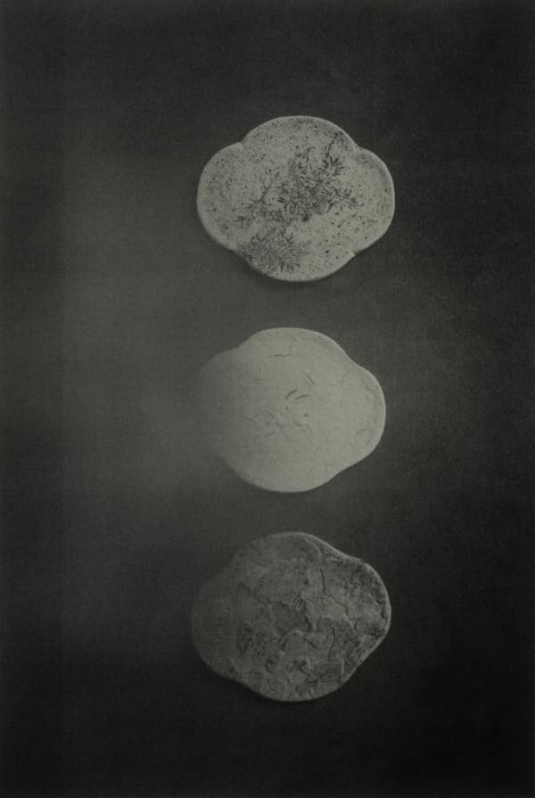Obra de Elise Gettliffe