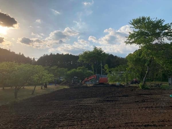 Clearing work during the early stages of development