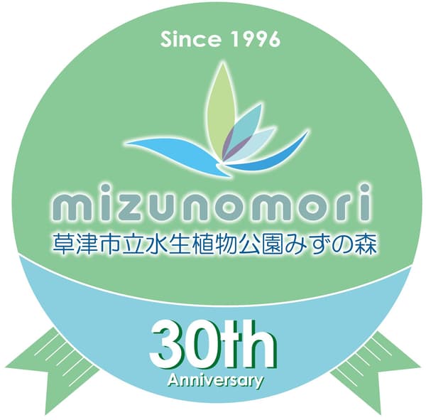 30週年紀念祭海報