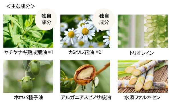 13 plant-derived oils infographic