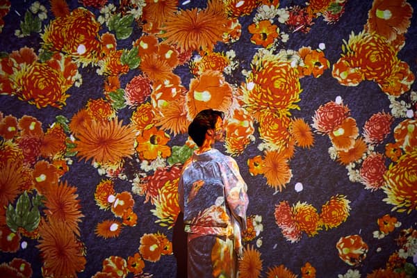 Ukiyoe Immersive Art Exhibition Osaka