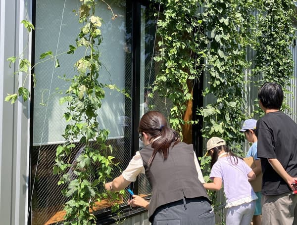 Hops and beer workshop