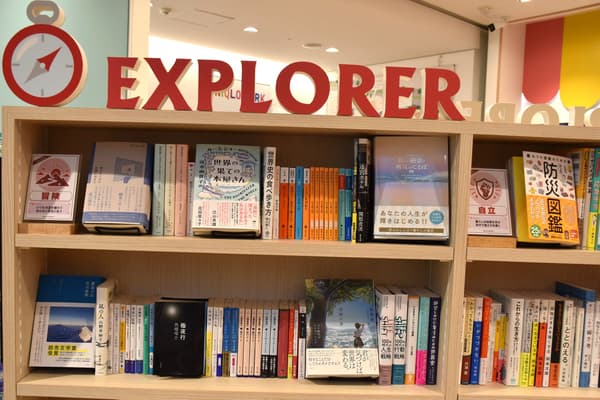 Shelves with books for adults on top and books for children below