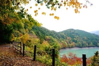 이카와 호수 근처 폐선 산책로