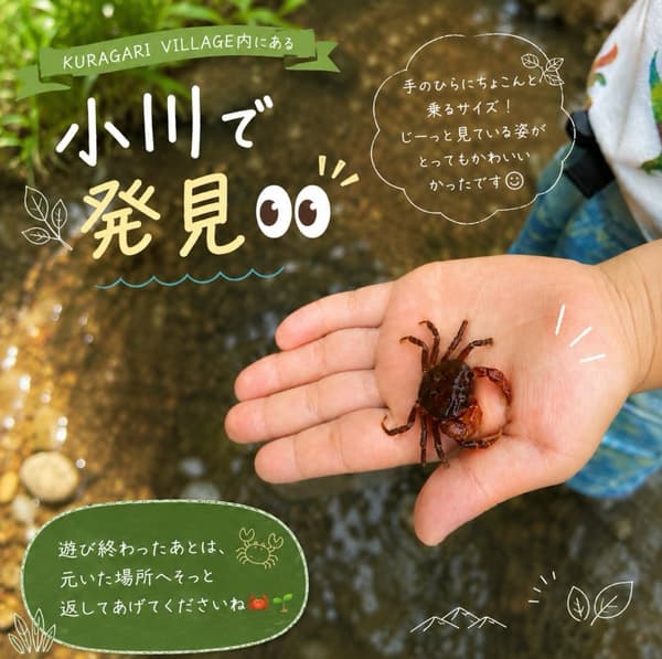Seekor kepiting kecil ditemukan di sungai yang mengalir melalui Desa KURAGARI