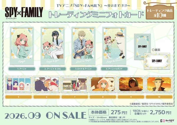 Trading Mini Photo Cards