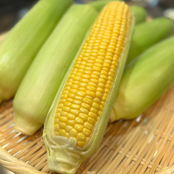 秋季和冬季收获的玉米口味——多次售罄（不再提供）