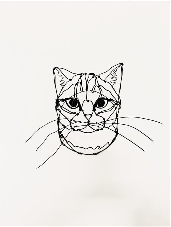 金属丝艺术猫咪展示