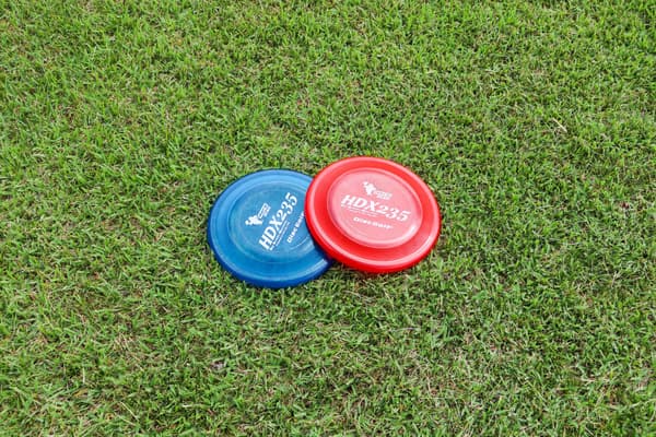 Rental disc for disc golf