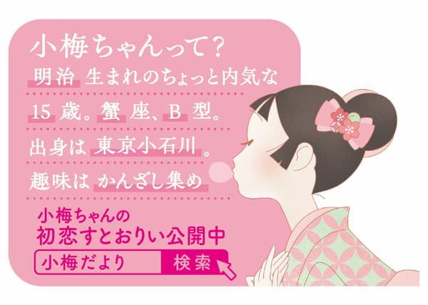 Koume Gum product details