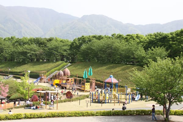 山梨县曾根丘陵公园 (3)