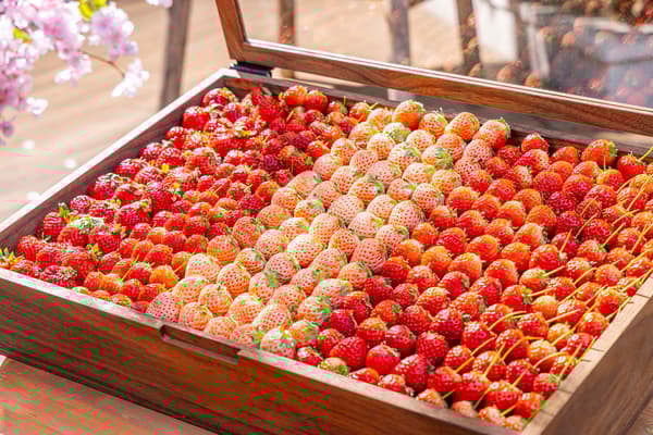 草莓甜点自助展示