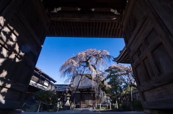Inuyama town scenery