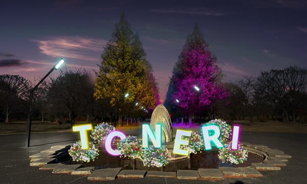 喷泉区域 – “百花之始”图像