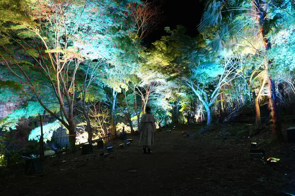 Resonating Yoro Valley and Forest