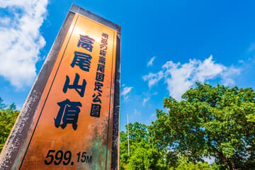 高尾山健行 & 山中茶道體驗
