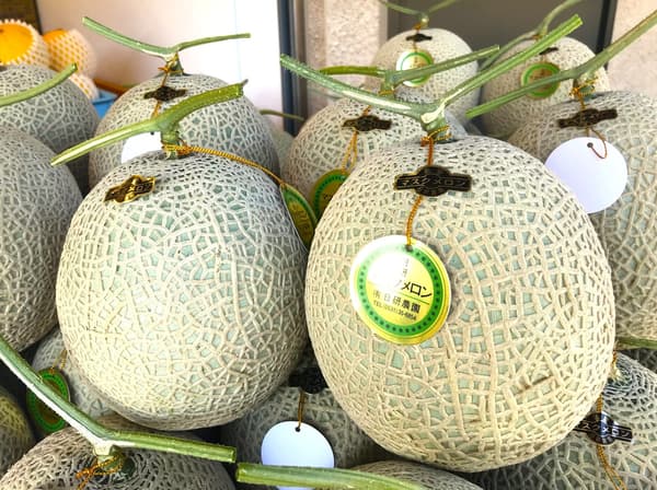 Earl's melon