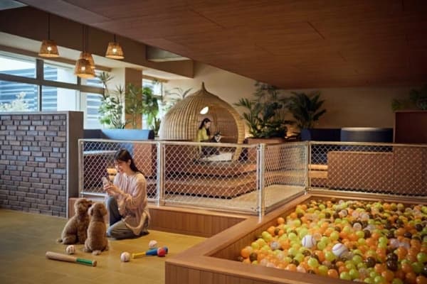 OMO Dog Lounge (image)
